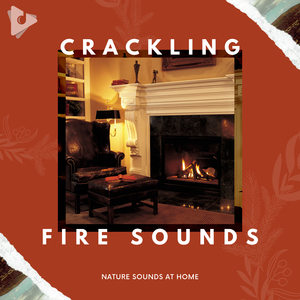 Fireplace Sounds