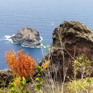 The Way to the Green Mile (Moviescore)