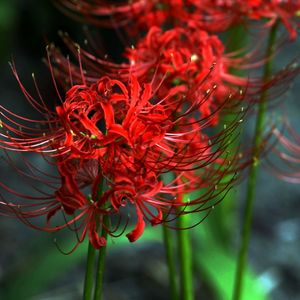 练手demo（干声）