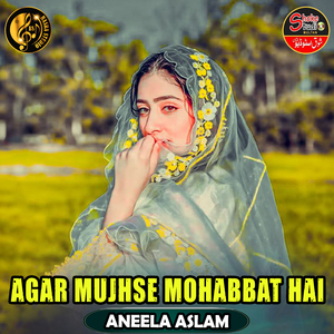 Agar Mujhse Mohabbat Hai (1)