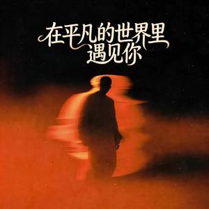 在平凡的世界遇见你