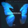 我的心被雪花冻结