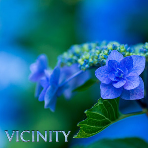 Vicinity