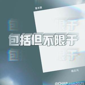 包括但不限于