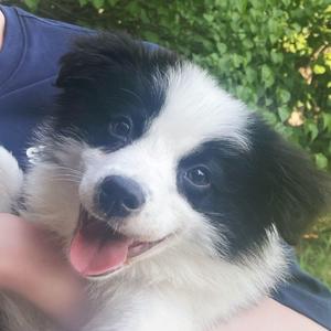 世界上的另一个我