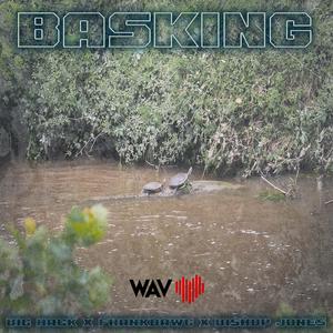 Basking (feat. Big Hack, FrankDawg & Bishop Jones)