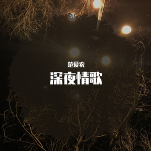 深夜情歌