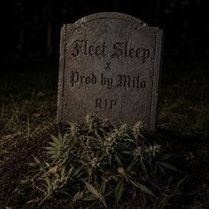 Fleet Sleep