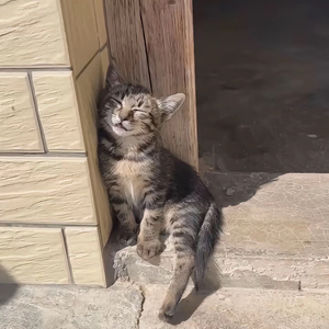 末班车的光-高清版