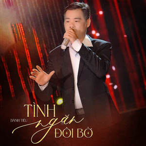 Tình Ngăn Đôi Bờ