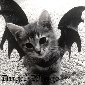 Angel Wings (Interlude)