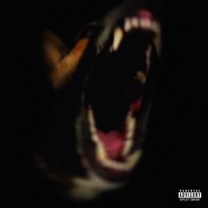 DOGTAGS // XO (feat. Raaki)