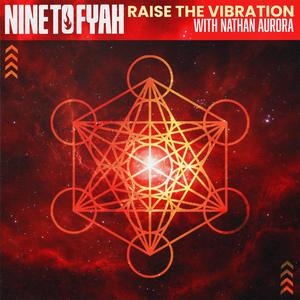 Raise The Vibration