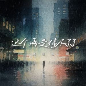 这个雨是停不了了