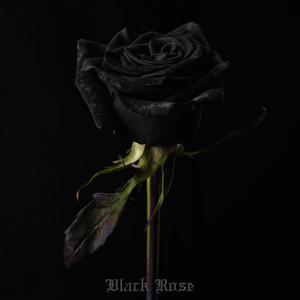 Black Rose