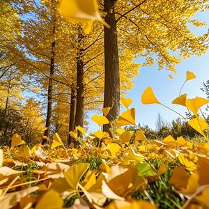 好像也没犯过什么大错 却换不来一个对的结果 这些年在忙什么 过得还快不快乐