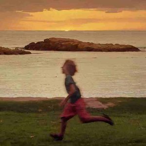 去风里寻找答案