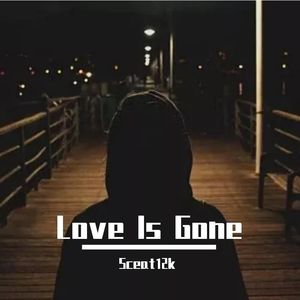 Love is gone（Sceat12k remix）撕心裂肺版