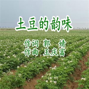 土豆的韵味