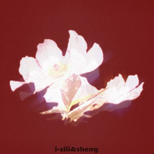 【FREE BEAT】古筝 boombap type beat