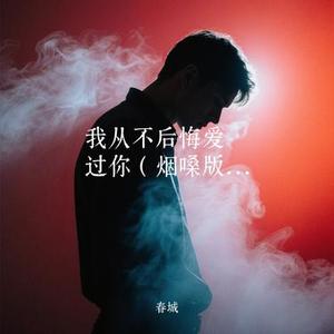 我从不后悔爱过你 (Remix)