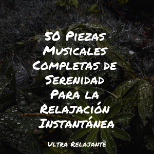 Paz