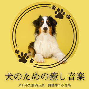 犬がぐっすり眠れる音楽