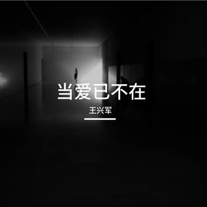 当爱也不在