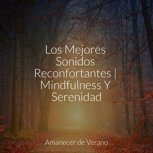 Ecos Efímeros del Infinito