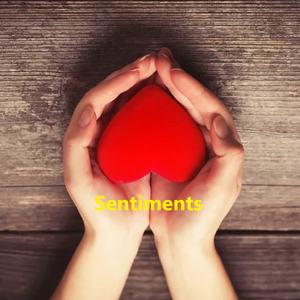 SENTIMENTS (Edición Deluxe)