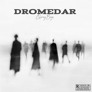 Dromedar