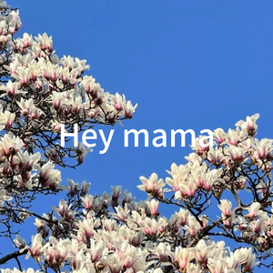 Hey mama(嘿妈妈抖音热播）
