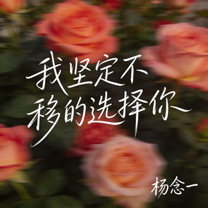 我坚定不移的选择你