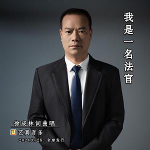 我是一名法官 伴奏