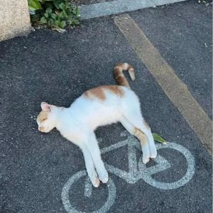 传奇