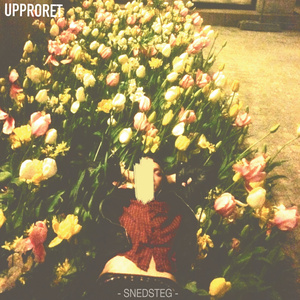 Snedsteg och öppna sår