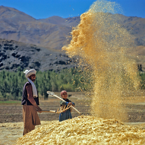 Peaceful Afghanistan
