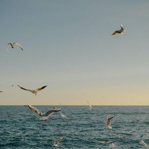 慵（Prod by INF）