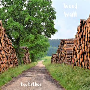 Wood Wall