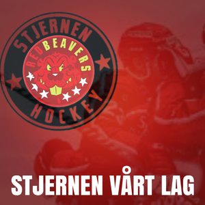 Stjernen Vårt Lag