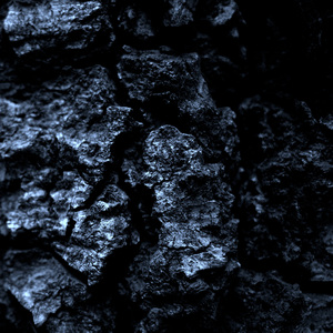 Great Contentious Continent