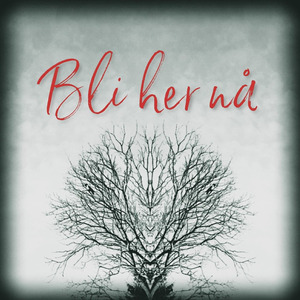 Bli Her Nå