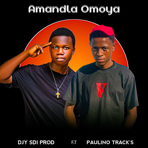 Amandla Omoya