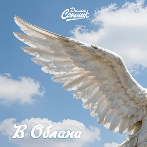 В Облака