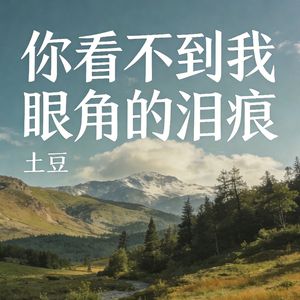 你看不到我眼角的泪痕