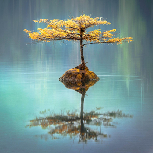 Baby Sleep White Noise