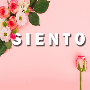 Siento