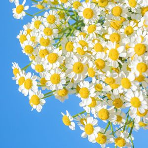 炊烟升起的坐标