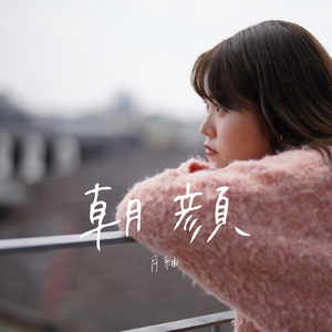 朝顔