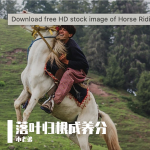 树根在暗处窃窃私语